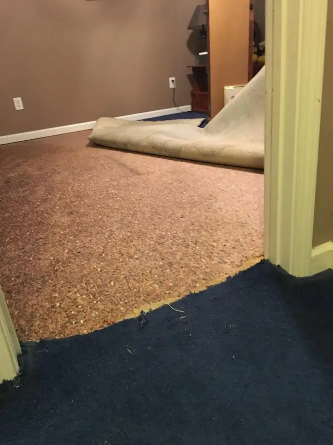 Carpet pad removal revealing water damage during Water Mitigation Services in Glendale Heights