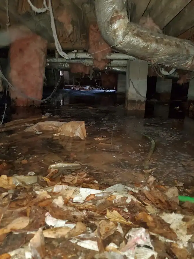 Crawl space flood assessment for Leak Detection & Repair in Glendale Heights