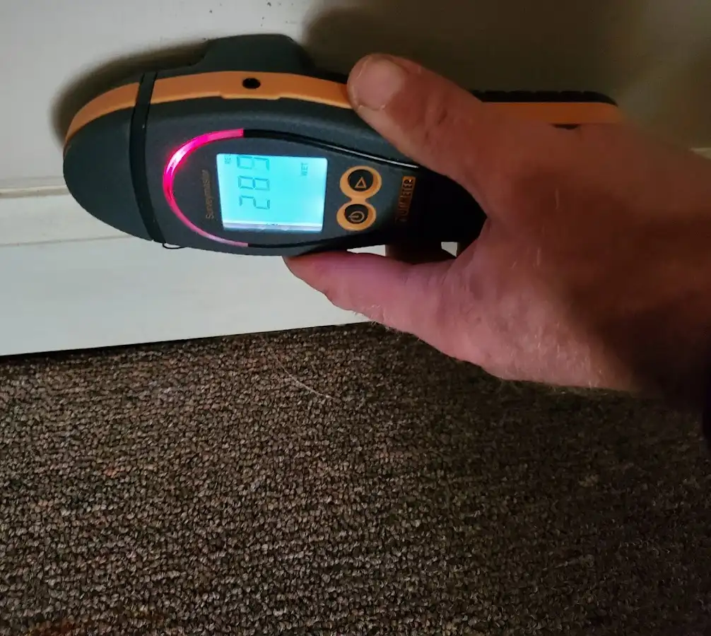 Moisture detection at baseboard during Mold Inspection & Testing in Glendale Heights